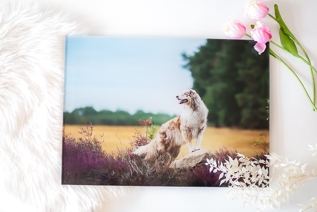 Fotohinter Acrylglas als Wandprodukt