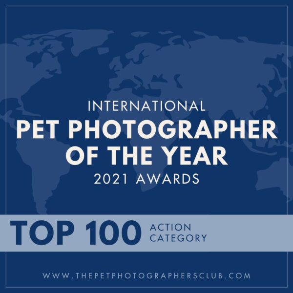 Coopergrafie Judith Lübeß kam unter die Top100 im Bereich Action bei dem Award für Tierfotografen