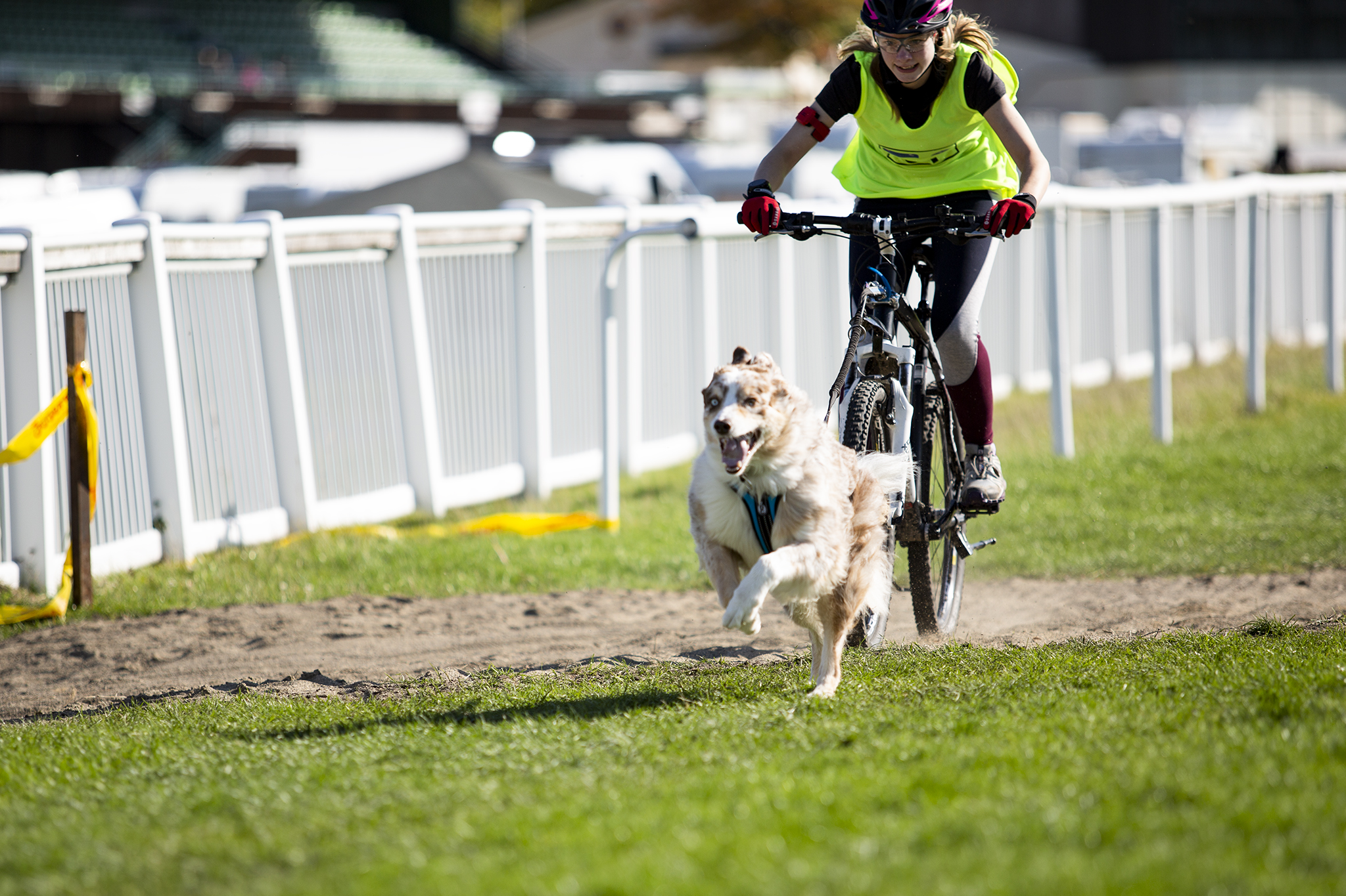 Die Hundefotografin Judith Lübeß beim Bikejöring mit Cooper. Zudem aktiv im Canicross, Dogscooter und Zughundesport allgemein.