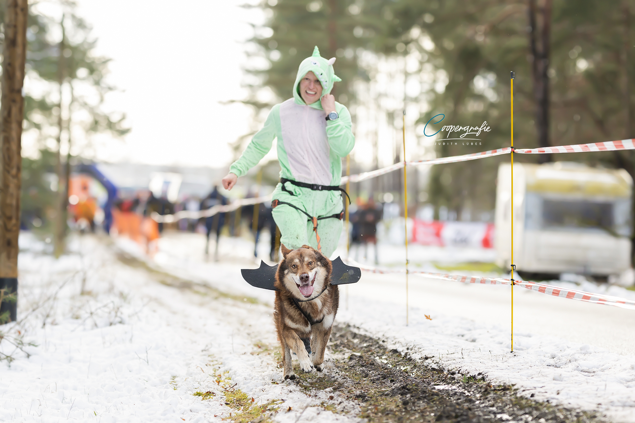 Eine Starterin verkleidet als Dino beim Schlittenhunderennen in Kunrau 2023